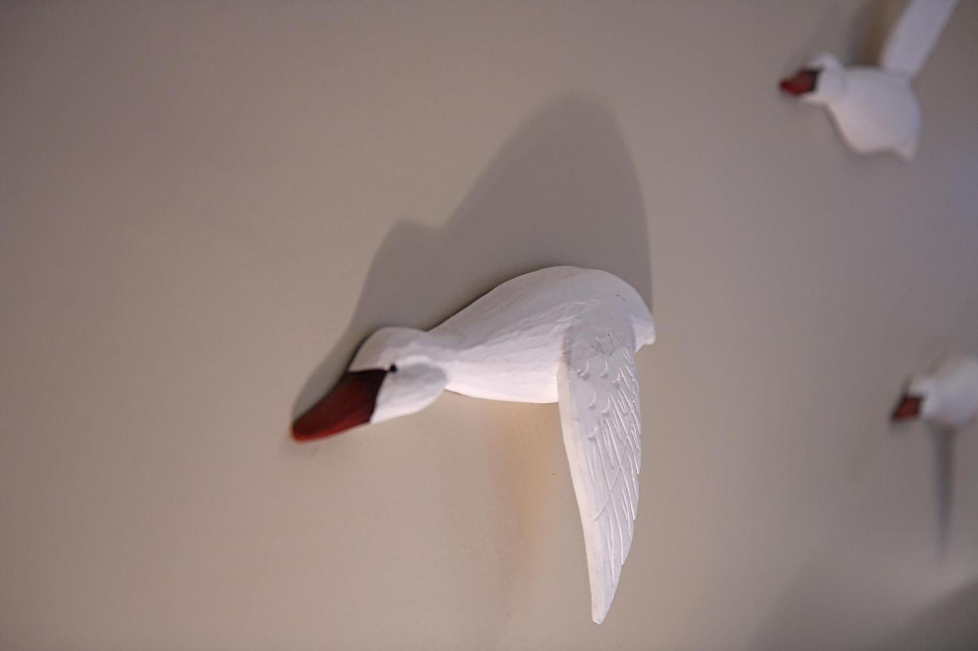 Apartamento Seagulls' House Evdilos  Exterior foto